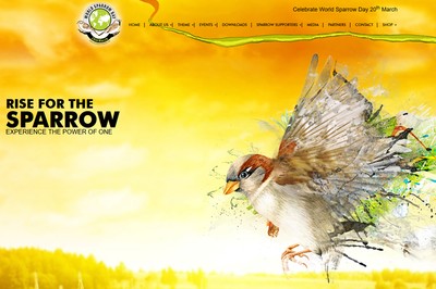 World Sparrow Day, la journée mondiale du moineau Image 1