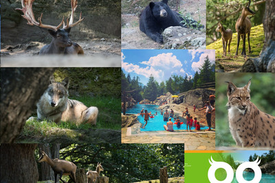 Zoo des Marécottes Bild 1