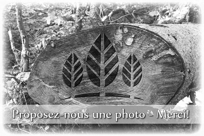 04 septembre 1948 - Le Rhône déborde, causant d'importants d ... Image 1