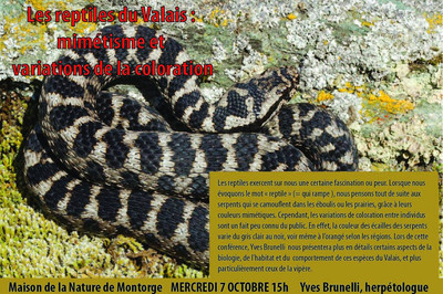Conférence Yves Brunelli « Les reptiles du Valais, mimétisme ... Image 1