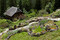 Jardin botanique alpin Flore-Alpe, à Champex-Lac Bild 1