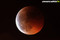 Lundi matin 28 septembre 2015, la lune s'éclipse Image 1