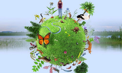 Biodiversité et biodiversité valaisanne Bild 1