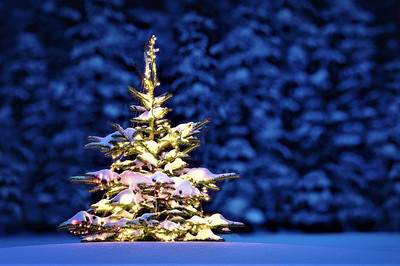 Aujourd'hui 24 décembre, c'est le jour du sapin de Noël! Bild 1