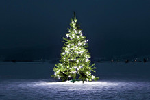 Aujourd'hui 24 décembre, c'est le jour du sapin de Noël! Image 5