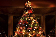 Aujourd'hui 24 décembre, c'est le jour du sapin de Noël! Image 6