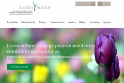 Jardin Suisse : Dès la mi-mai, plantez vos tubercules riches ... Bild 1